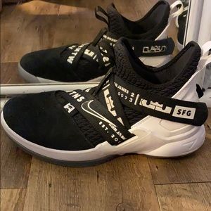 Lebron SFG Basketball Shoes
